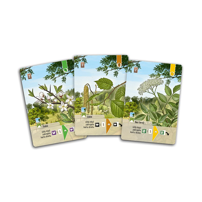 Asmodee Smíšený les: Pomezí