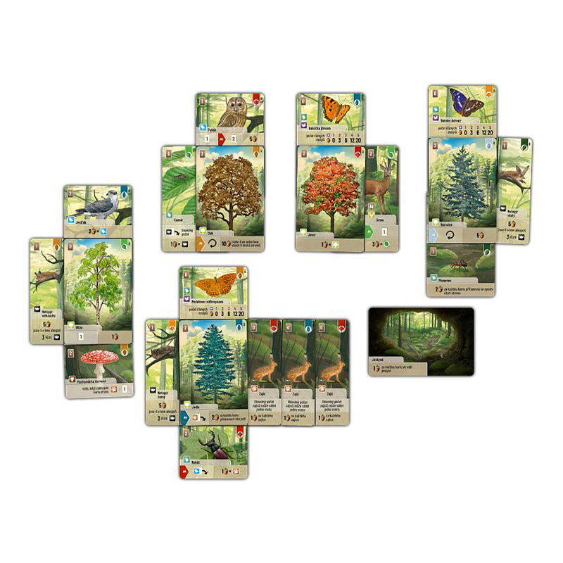 Asmodee Smíšený les