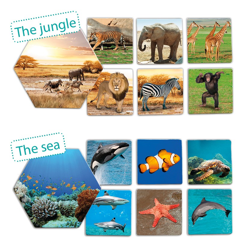 Akros Kde žijí zvířata?