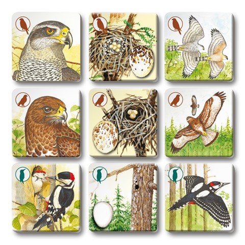 Efko PEXETRIO - PTÁCI, PLUS