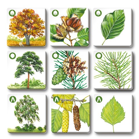 Efko PEXETRIO - STROMY