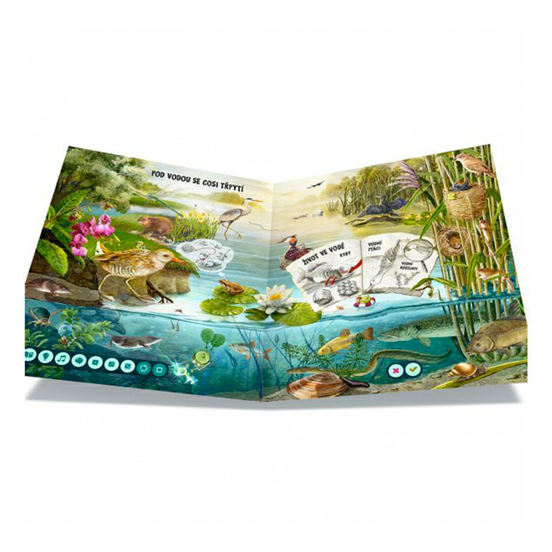 Albi Kouzelné čtení Kniha Hravá přírodověda