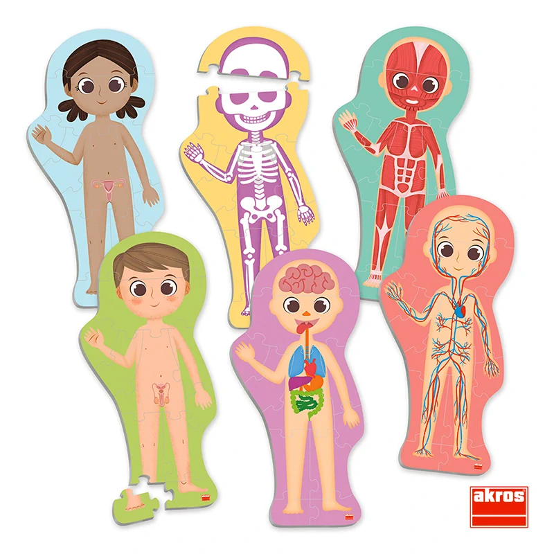 Akros MAXI PUZZLE Objevujte tajemství lidského těla