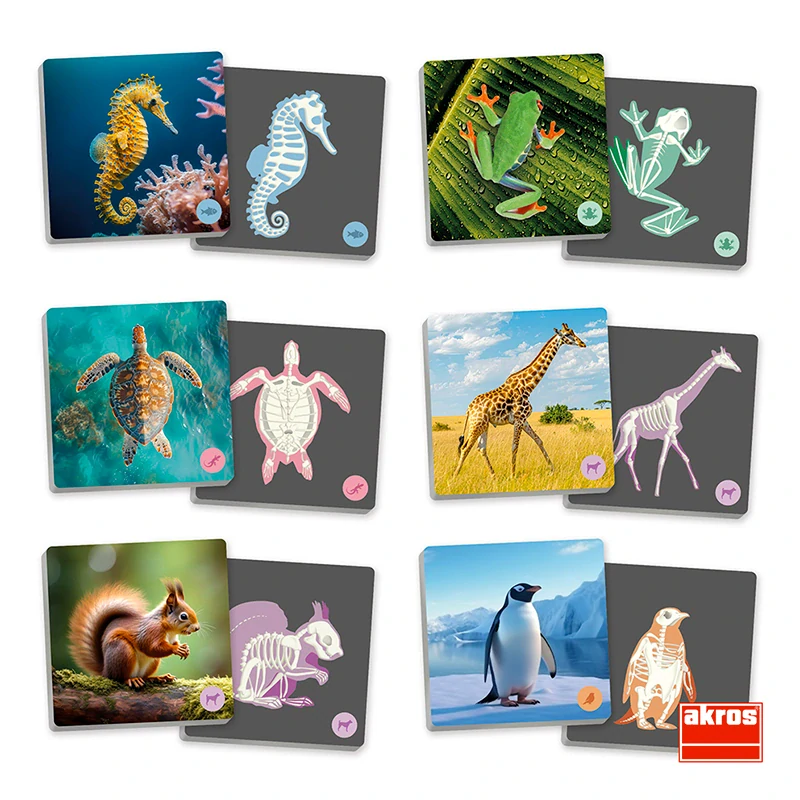 Akros MAXI PEXESO Obratlovci a jejich kostry