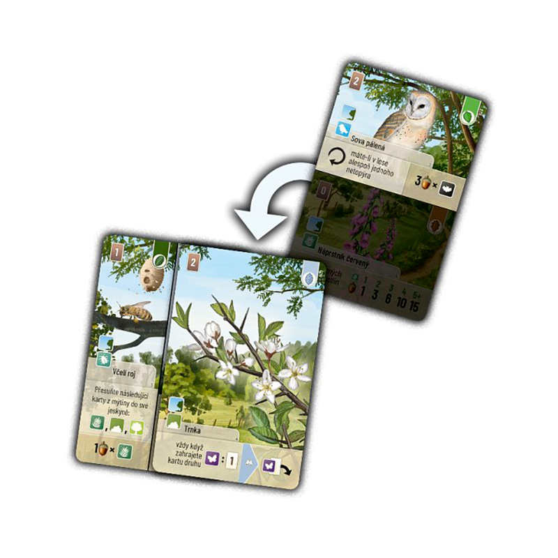 Asmodee Smíšený les: Pomezí