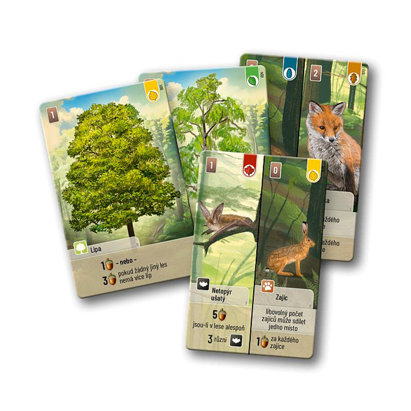 Asmodee Smíšený les