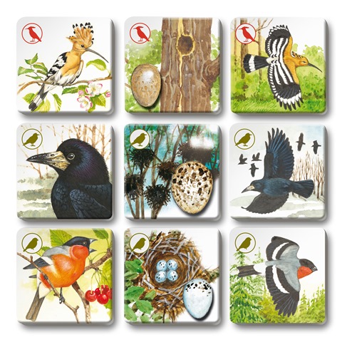 Efko PEXETRIO - PTÁCI, PLUS