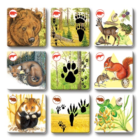 Efko PEXETRIO - SAVCI, PLUS