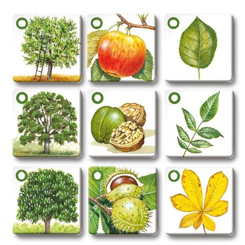 Efko PEXETRIO - STROMY