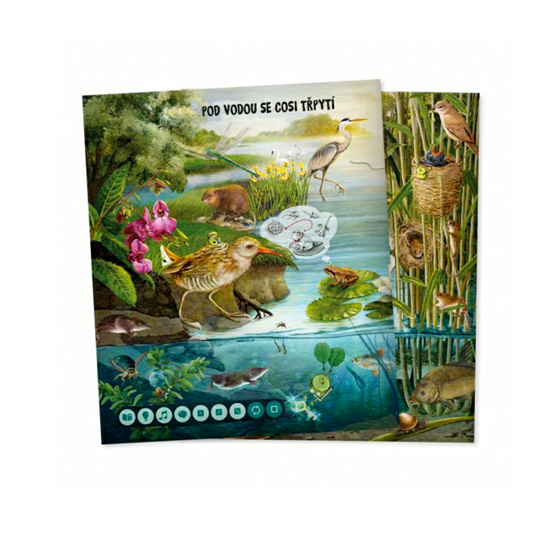 Albi Kouzelné čtení Kniha Hravá přírodověda