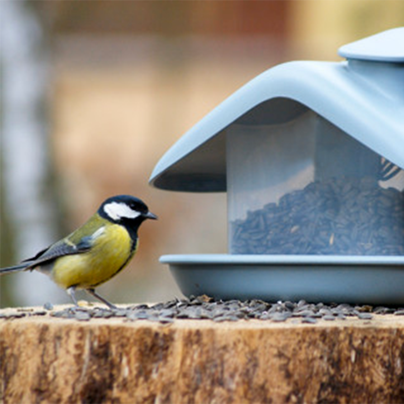 Efko Ekologické krmítko s Igráčkem, zobem a atlasem ptáků