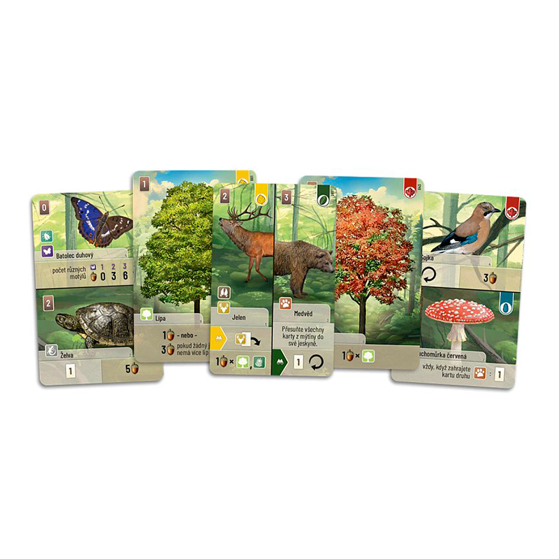 Asmodee Smíšený les