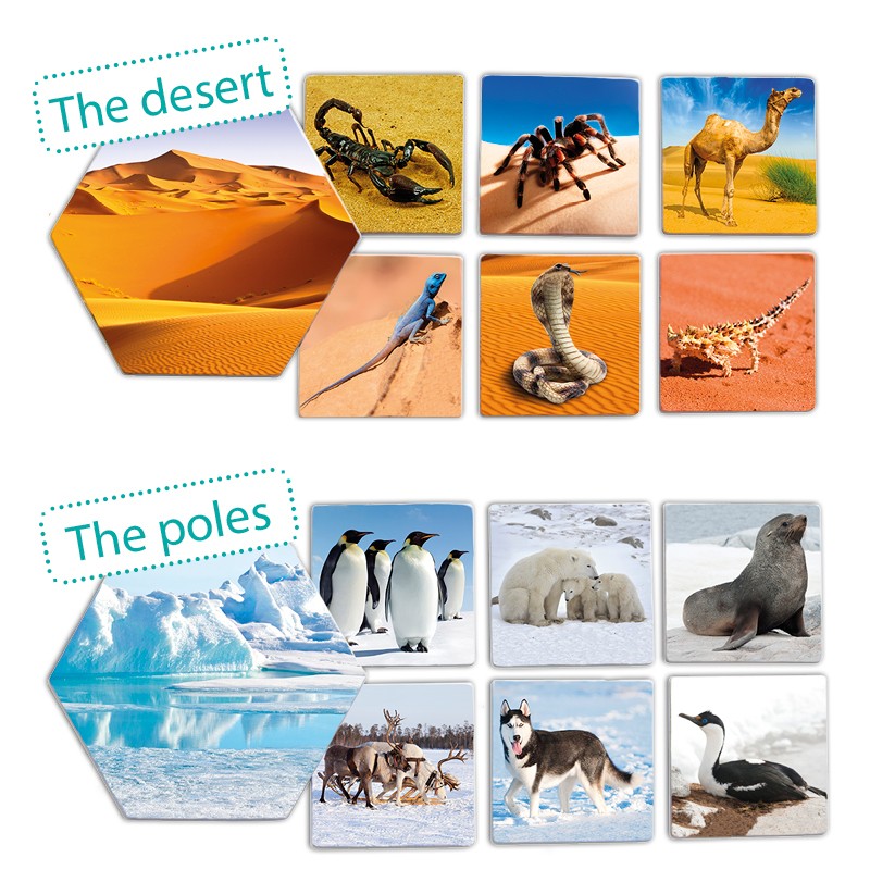 Akros Kde žijí zvířata?