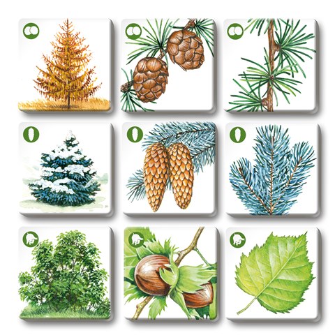 Efko PEXETRIO - STROMY