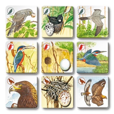 Efko PEXETRIO - PTÁCI, PLUS