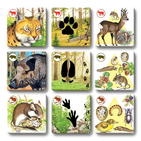 Efko PEXETRIO - SAVCI, PLUS