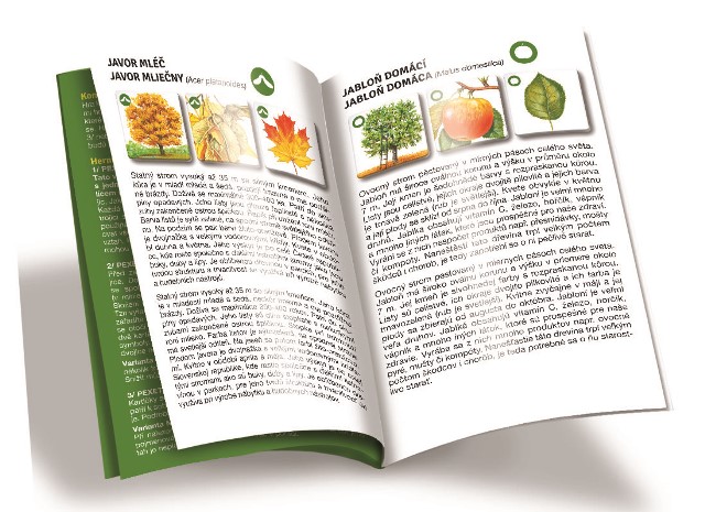 Efko PEXETRIO - STROMY