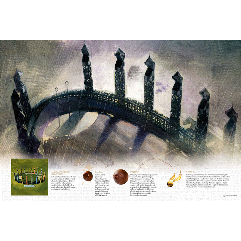 Efko Harry Potter Famfrpál