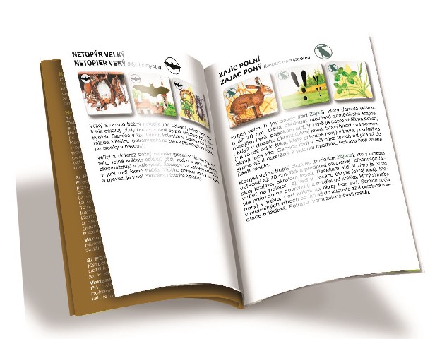 Efko PEXETRIO - SAVCI, PLUS