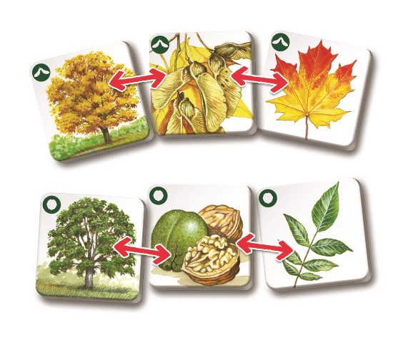 Efko PEXETRIO - STROMY