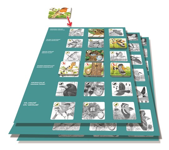 Efko PEXETRIO - PTÁCI, PLUS