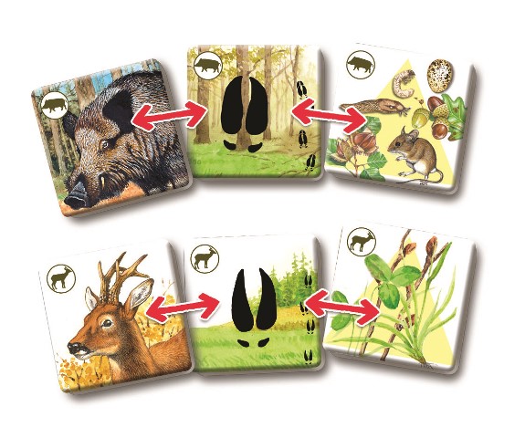 Efko PEXETRIO - SAVCI, PLUS