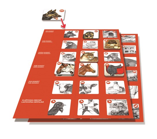 Efko PEXETRIO - ZVÍŘÁTKA NA STATKU